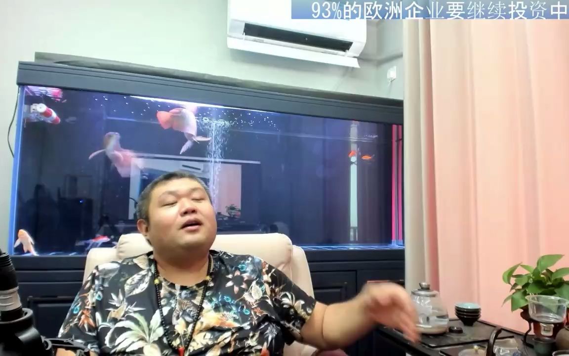 天天硬事2080期 02 欧盟商会数据表明93%的欧洲企业表示愿意继续投资中国哔哩哔哩bilibili