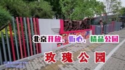 玫瑰公园,北京开放、街心、精品公园哔哩哔哩bilibili