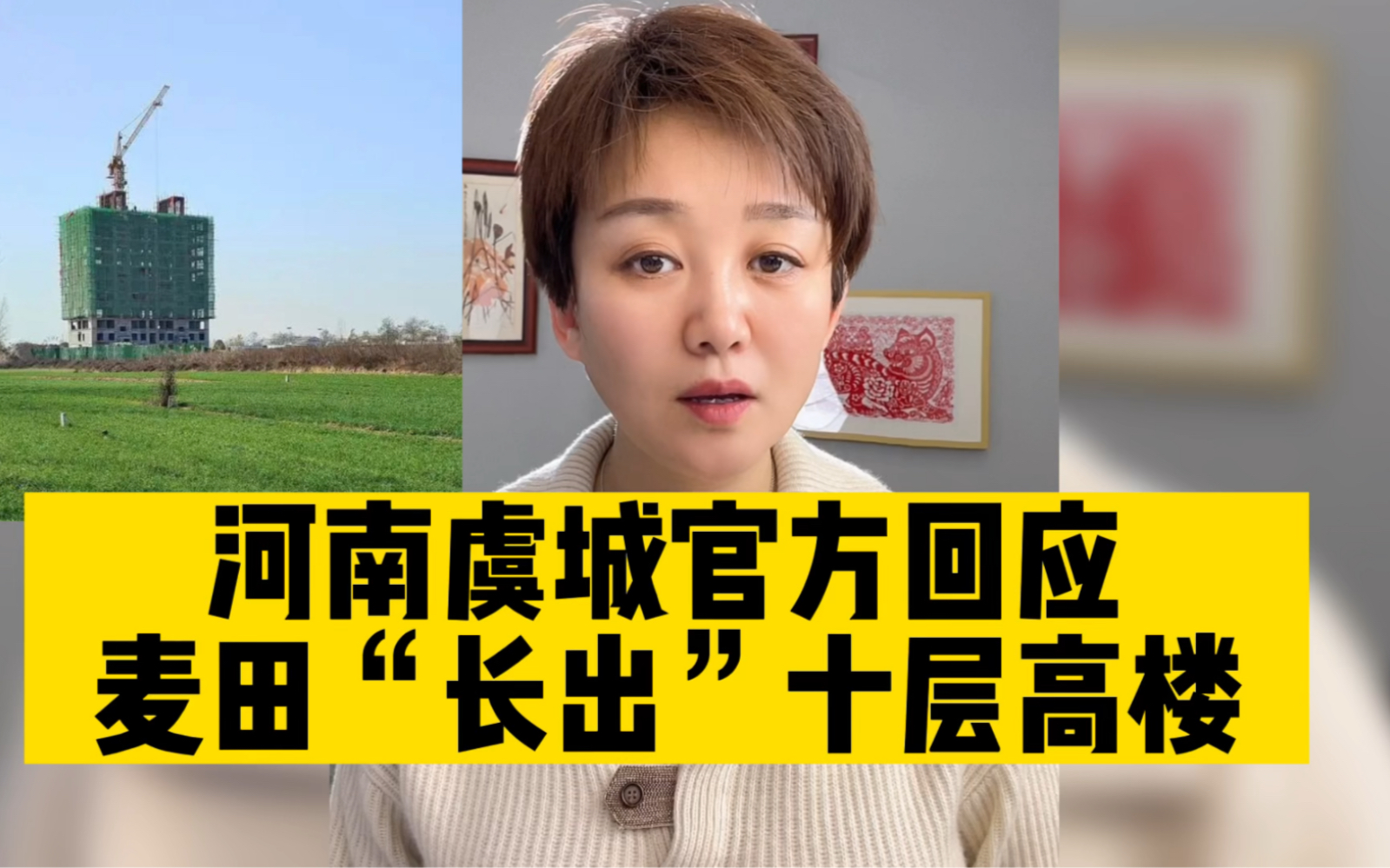 官方回应麦田建楼,证实手续不全属违建但对开发商身份三缄其口!哔哩哔哩bilibili