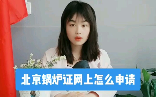 北京锅炉证网上怎么申请?哔哩哔哩bilibili