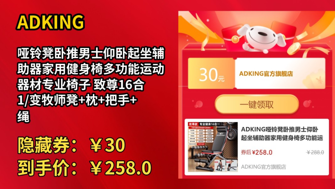 [30天新低]ADKING哑铃凳卧推男士仰卧起坐辅助器家用健身椅多功能运动器材专业椅子 致尊16合1/变牧师凳+枕+把手+绳哔哩哔哩bilibili