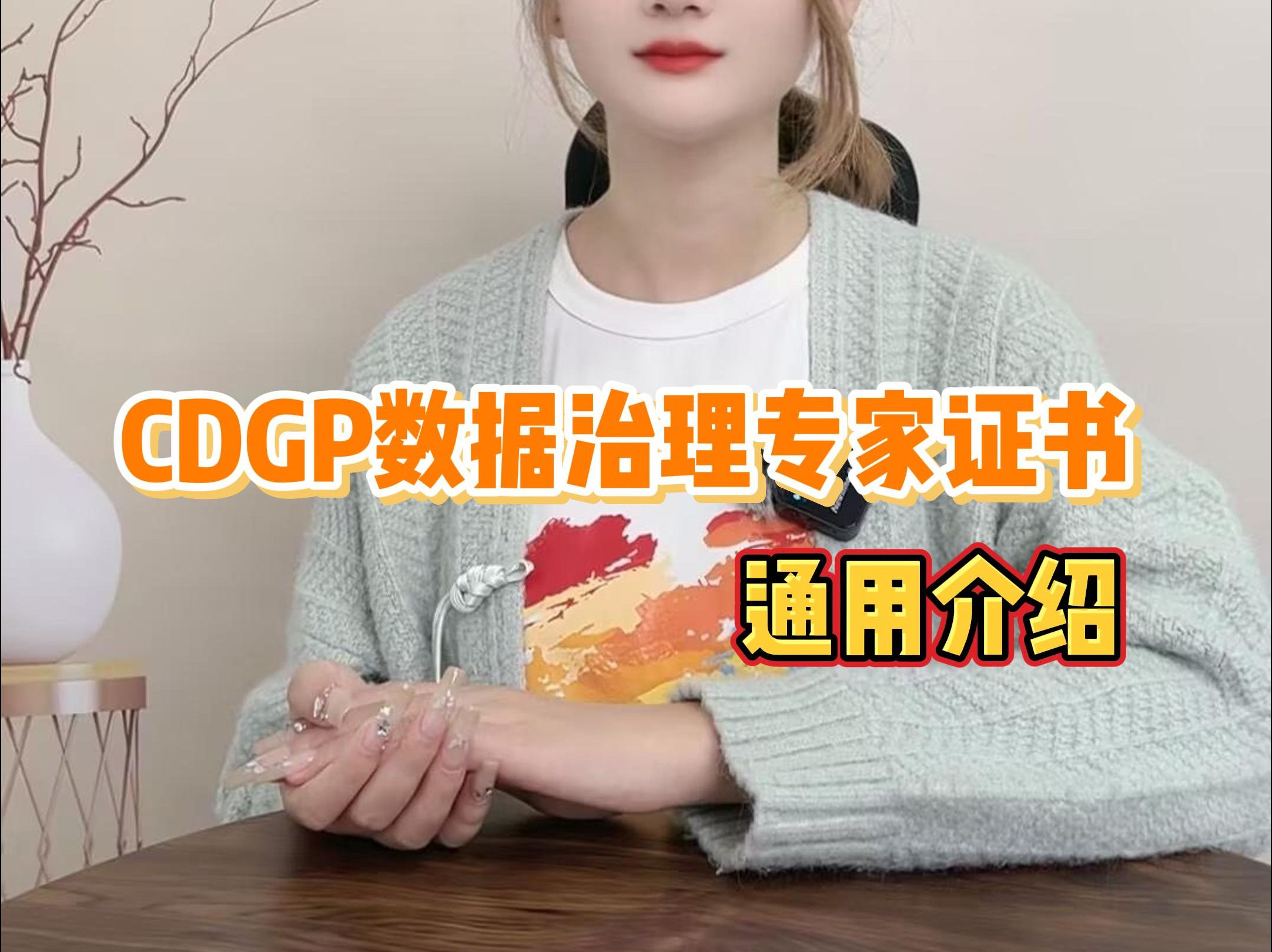 CDGP数据治理专家证书 通用介绍哔哩哔哩bilibili