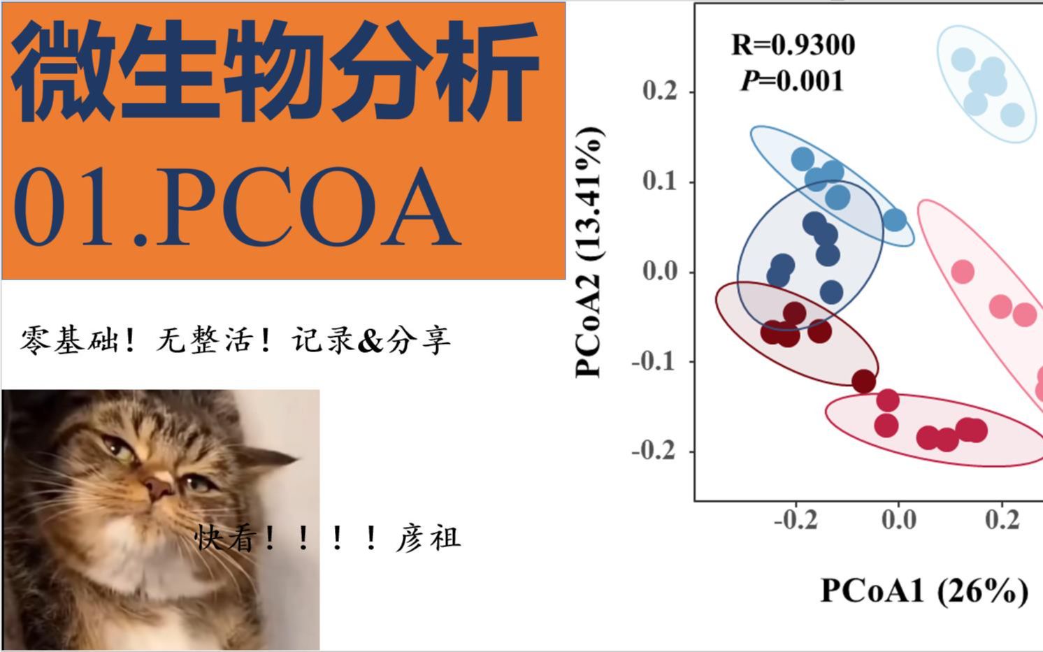 PCoA分析+PMANOVA 分析差异显著性!老铁直接上代码(简介)!!!哔哩哔哩bilibili