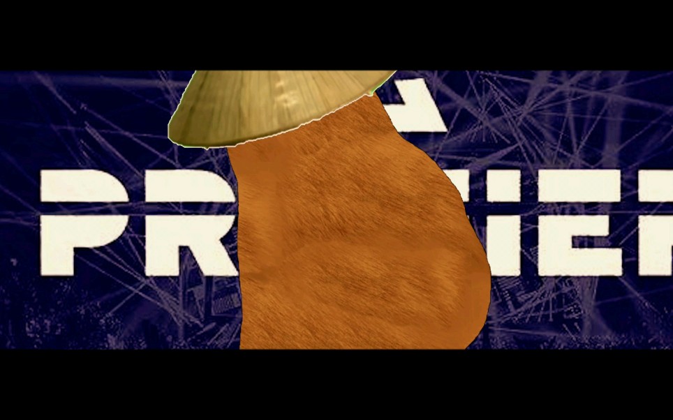 活动作品cheems火中做自己