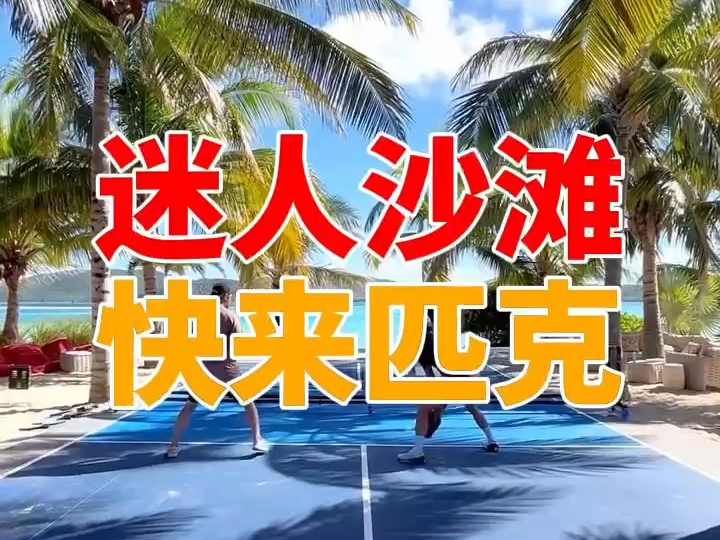 匹克球迷人沙滩场地