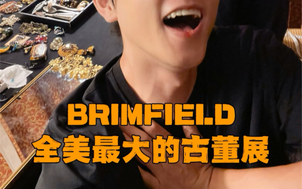 Brimfield全美最大的古董展!首饰篇!哔哩哔哩bilibili