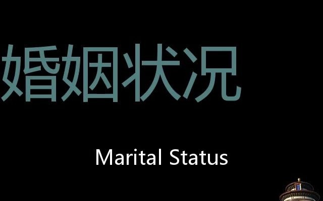 婚姻状况 Chinese Pronunciation marital status哔哩哔哩bilibili