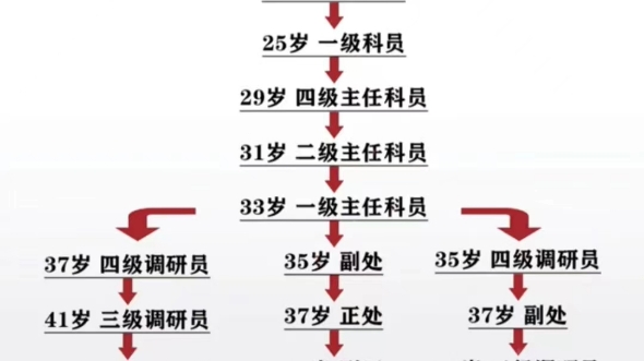 公务员职业发展路径图片