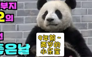 Download Video: 【中字】乐宝：“为什么把我的零食拿走呢？”(･_･;