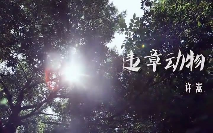 许嵩 《违章动物》 MV哔哩哔哩bilibili