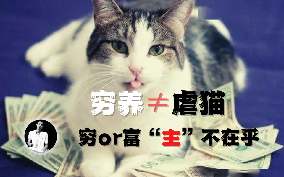 [图]猫用智商税太多，新手怕养不起，简直胡闹