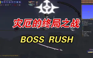 Download Video: 灾厄的终点:BOSS RUSH