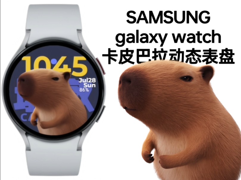 【wear os】三星galaxy watch自制卡皮巴拉动态表盘哔哩哔哩bilibili