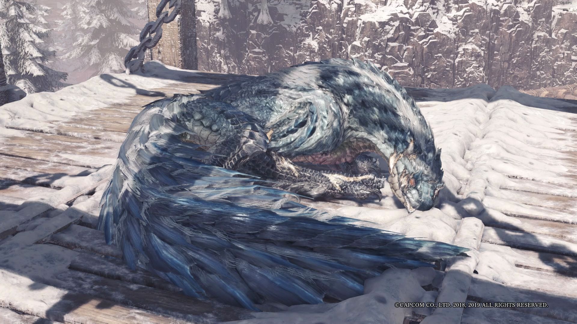 【一起看龙睡觉吧】飞雷龙睡觉