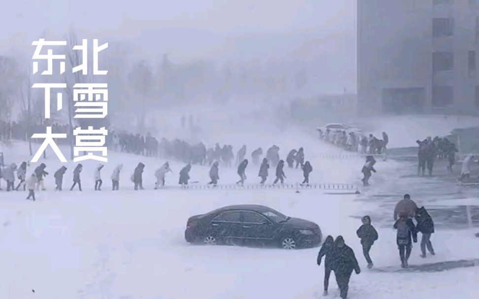 【东北下雪大赏】莫斯科保卫战已经打到东北了吗?哔哩哔哩bilibili