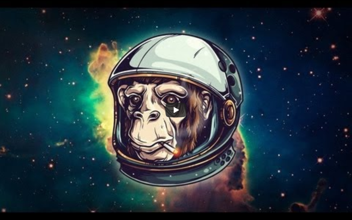 太空黑猩猩，太空黑猩猩电影免费观看