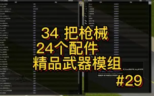 Descargar video: 60万订阅的精品枪械模组#29《僵尸毁灭工程》