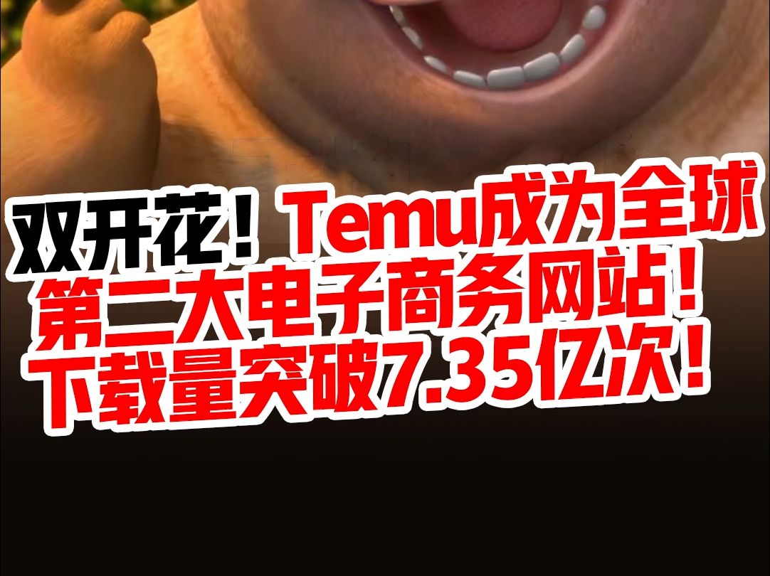 双开花!Temu成为全球第二大电商网站!下载量突破7.35亿次!哔哩哔哩bilibili