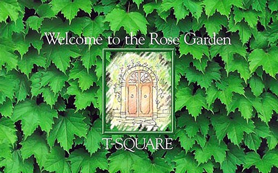 sunnyside cruise 扒谱 solo重制