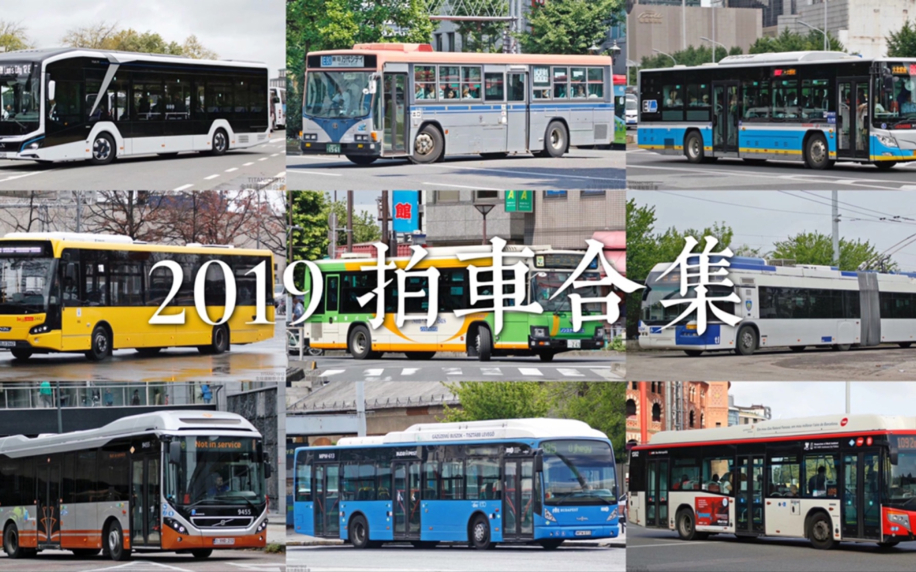 [图]从东京湾到伊比利亚半岛 2019年拍车合集