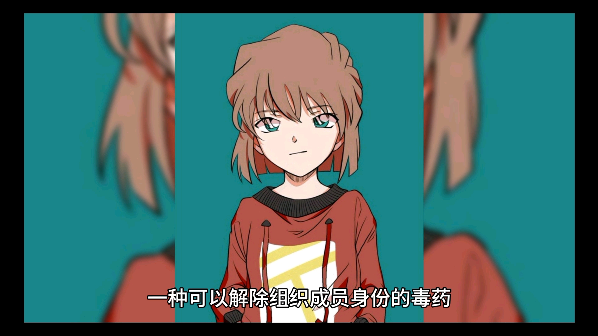 柯南20部:《纯黑的噩梦》介绍