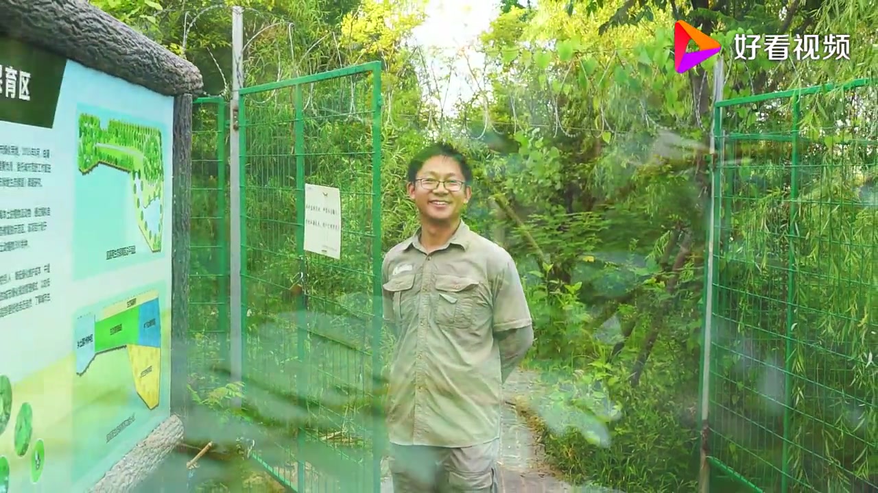 【城市生态修复】在浦东闹市包下3000平土地,生物学霸造了艘上海诺亚方舟!(城市荒野工作室)哔哩哔哩bilibili