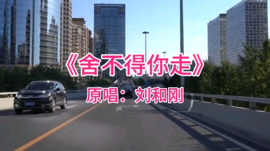 音乐欣赏《舍不得你走》