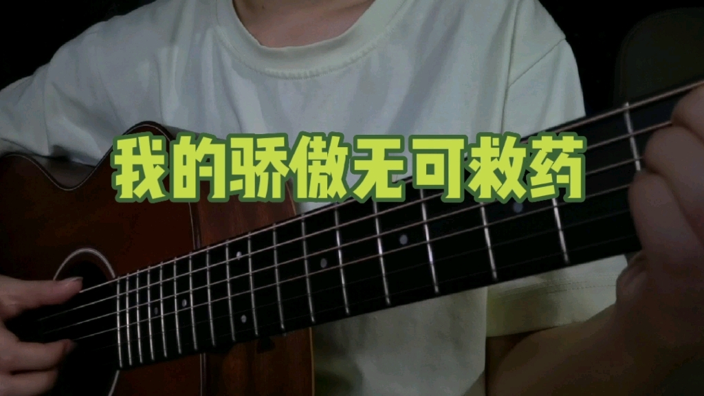 [图]陈绮贞《我的骄傲无可救药》cover