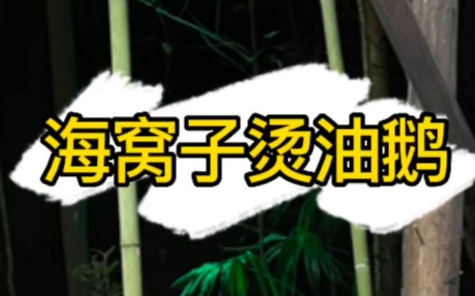 唯有家乡的味道才会勾起对家乡的思念,我们的烫油鹅,让你想起了家乡的哪些美食呢?哔哩哔哩bilibili