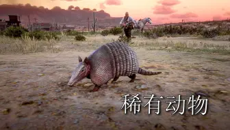 【南徒】大镖客2最难找的5种稀有动物，包含隐藏任务