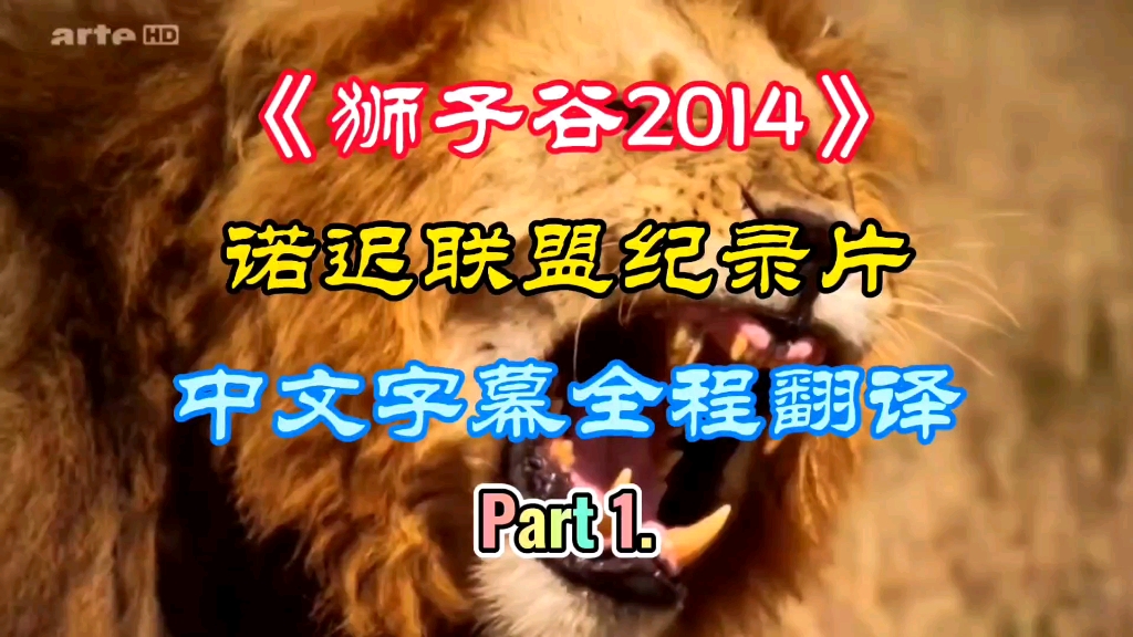 《狮子谷2014》诺迟联盟中文纪录片(一)