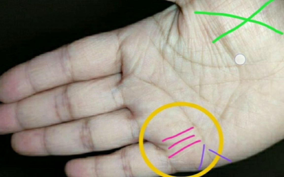 手掌有天印纹的人比较有文采,从事与文化有关的工作比较有利于才能的