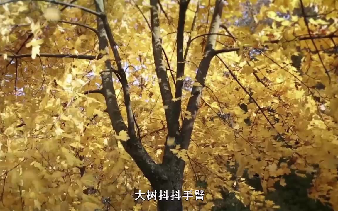 [图]三年级语文 听听 秋的声音