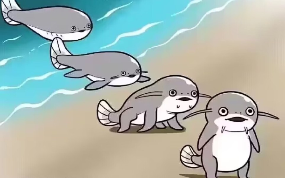 【ff14】萨卡萨卡班班大鲶鱼噗