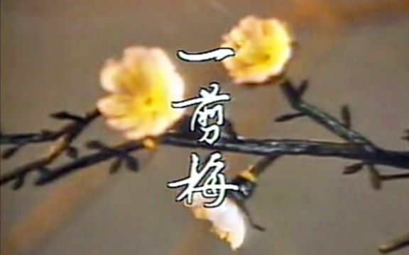 【怀旧】1984年《一剪梅》(寇世勋,沈海蓉,庞祥麟,马之秦)哔哩哔哩bilibili