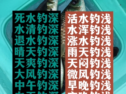 野钓口诀详解!八深八浅,死水活水的秘密?哔哩哔哩bilibili