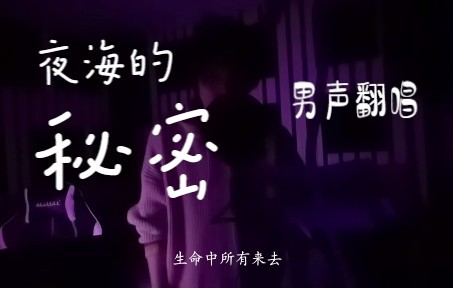 [图]【夜海的秘密】男声翻唱|低画质高音质|Cover：昨夜派对L.N.Party