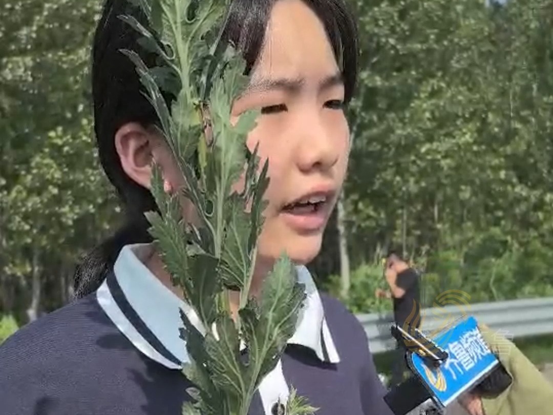 栾留伟骨灰回到山东宁阳老家 外甥女:在我心里舅舅就是英雄哔哩哔哩bilibili