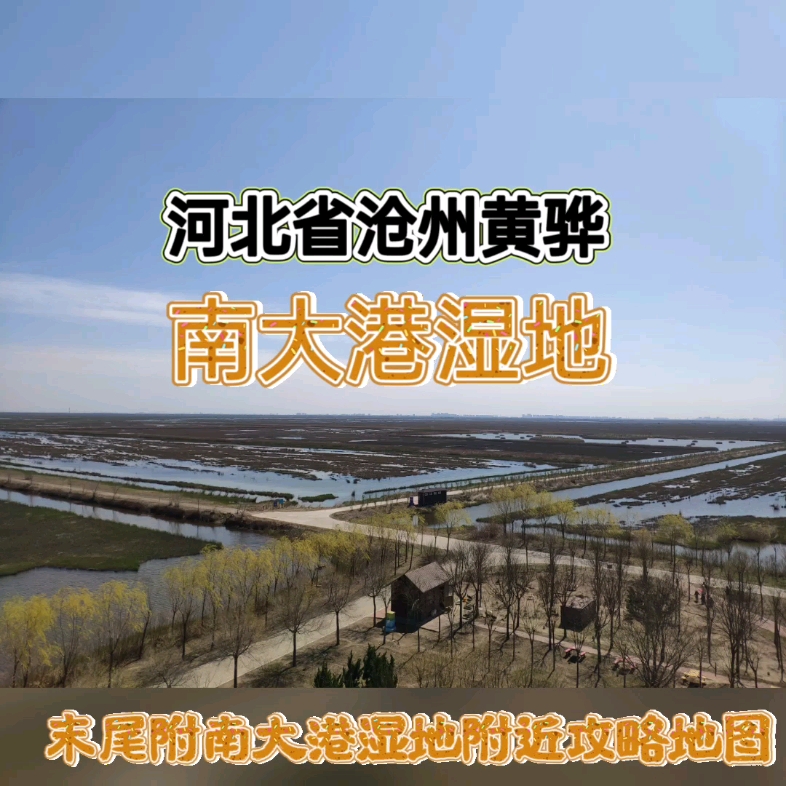 南大港湿地:京津南花园,天然大氧吧