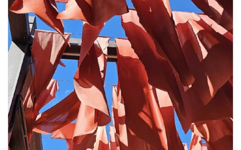 【cv阿春&cv天空】元旦快乐,春天送祝福啦