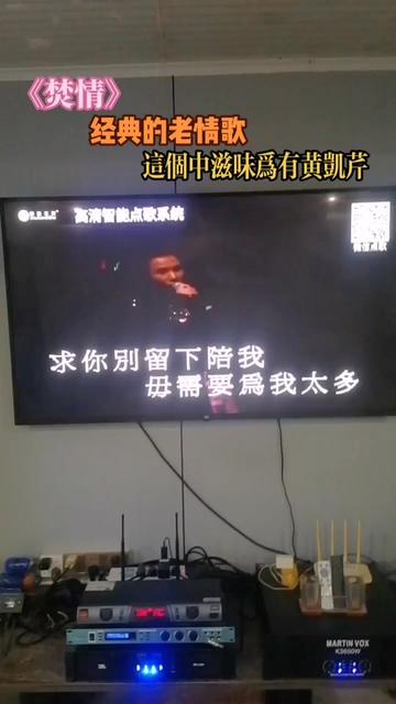 黄凯芹经典情歌金曲《焚情》,不是曲中人难明曲中意.哔哩哔哩bilibili