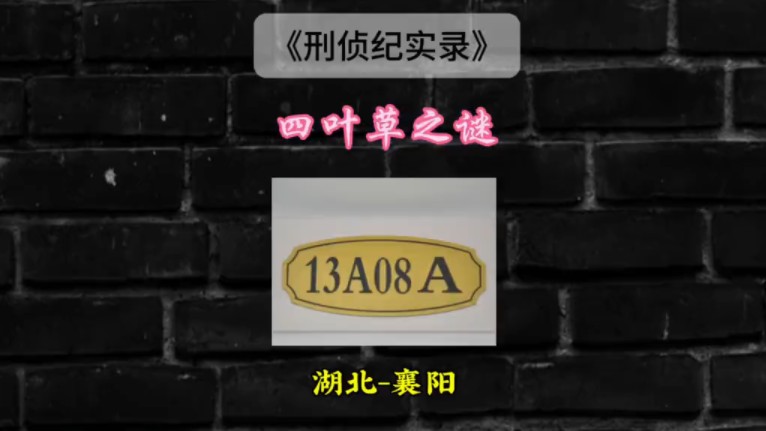 湖北省ⷮŠ襄阳市“四叶草”之谜哔哩哔哩bilibili