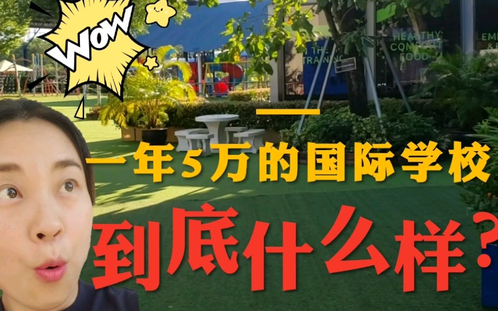 泰国留学新选择,一年5万元的国际幼儿园什么样?哔哩哔哩bilibili