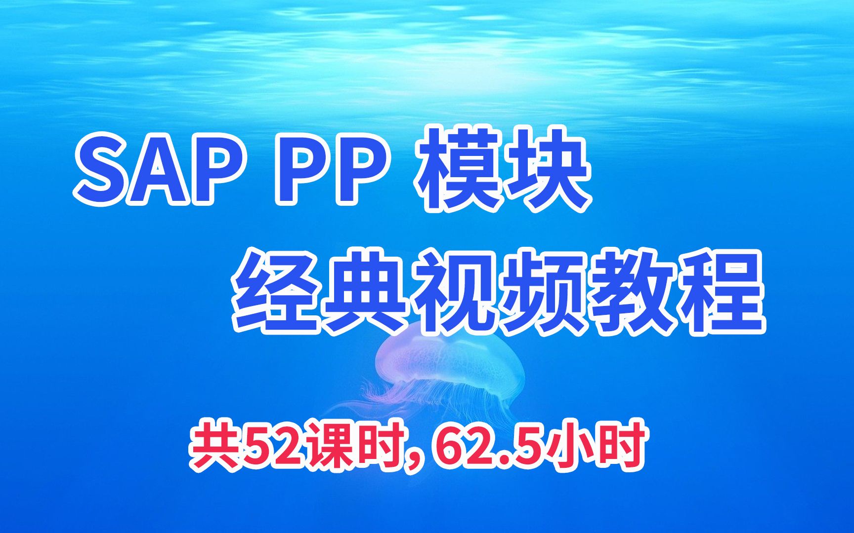 SAP PP模块视频课程 经典PA视频课程 英文界面中文讲解哔哩哔哩bilibili