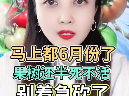 马上都6月份了,果树还半死不活别着急砍了当柴烧
