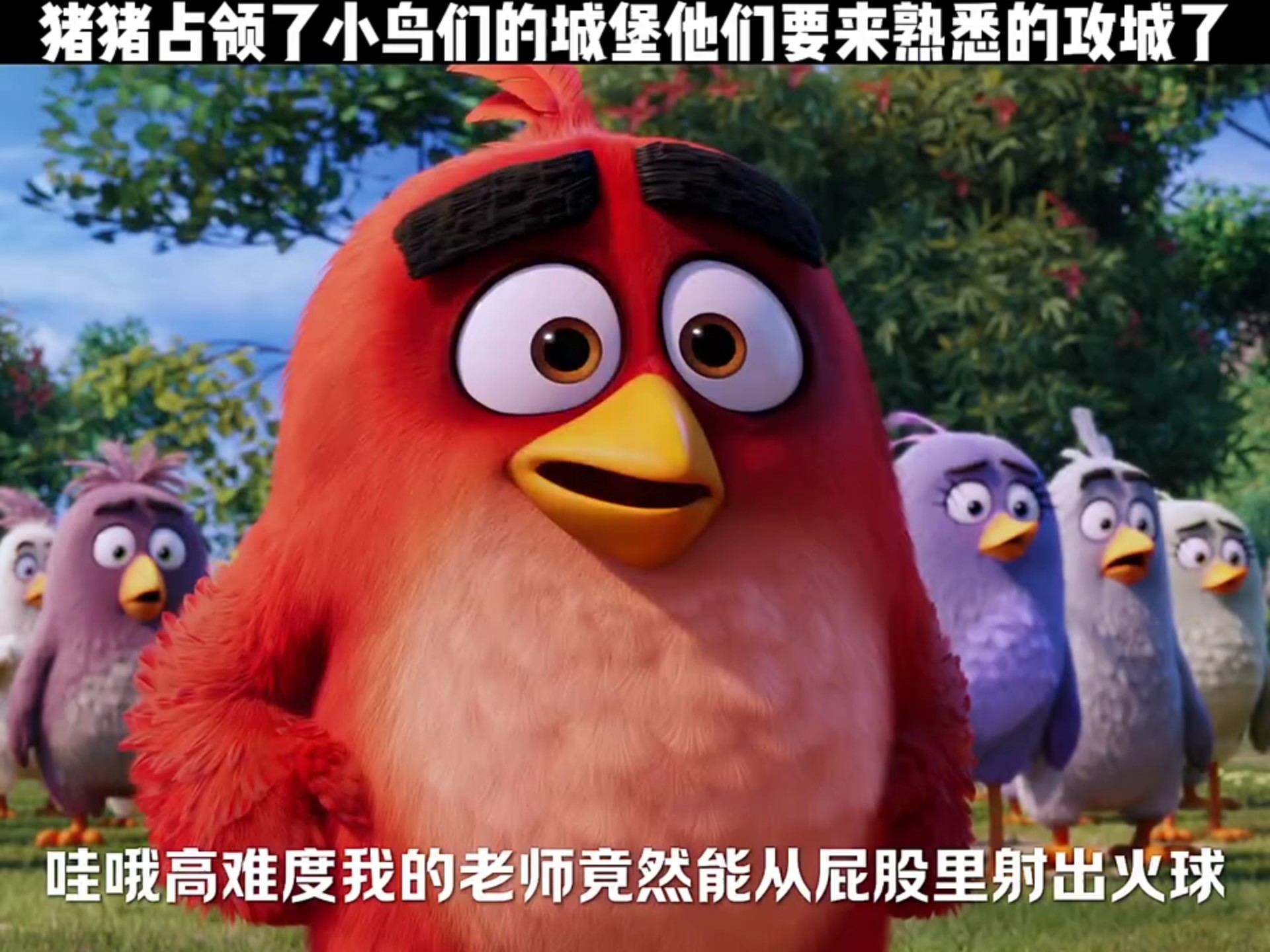 愤怒小鸟动画大电影的介绍和剧情简介