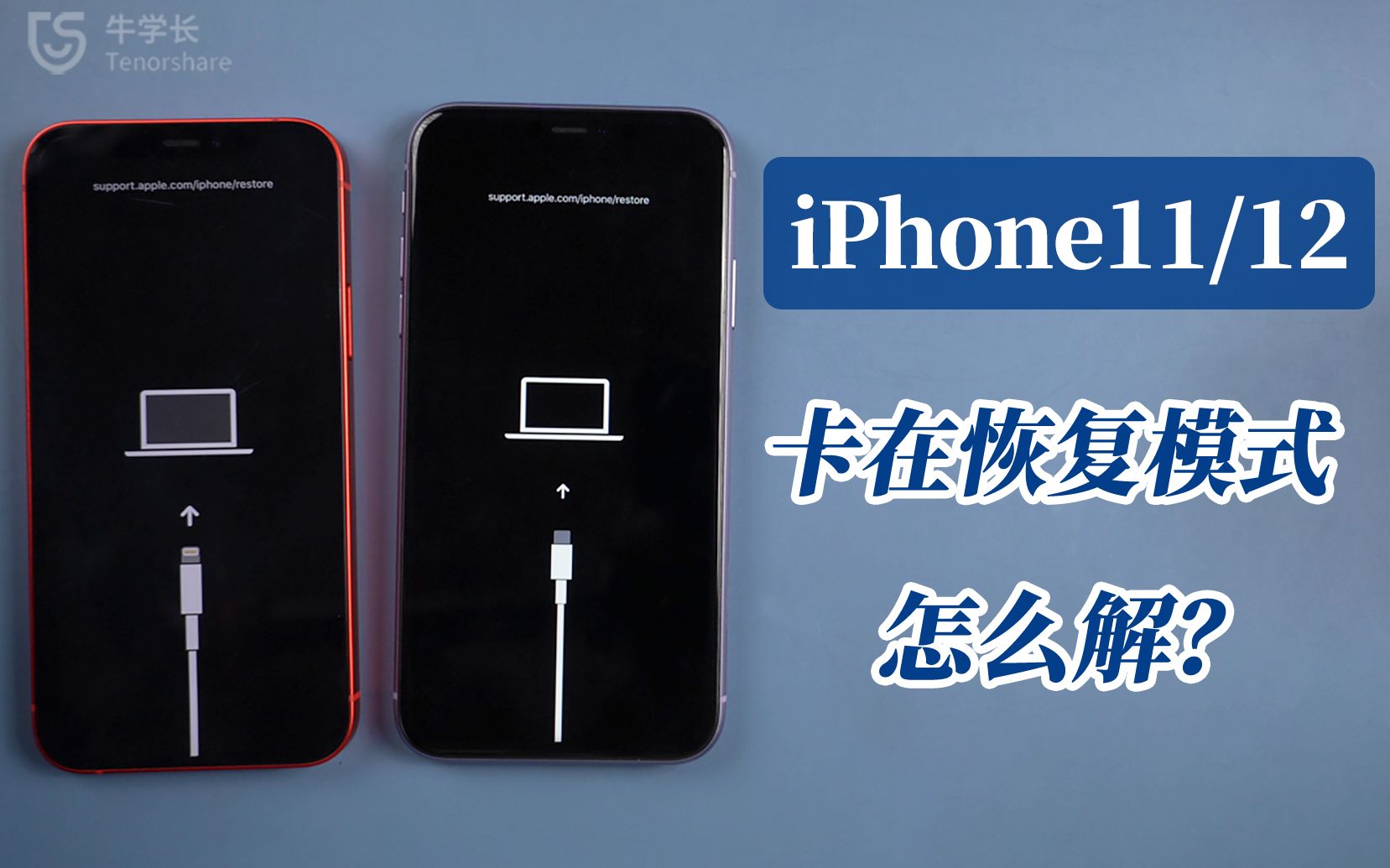 iPhone11/12卡在恢复模式怎么退出?如何高成功率保留数据退出?哔哩哔哩bilibili