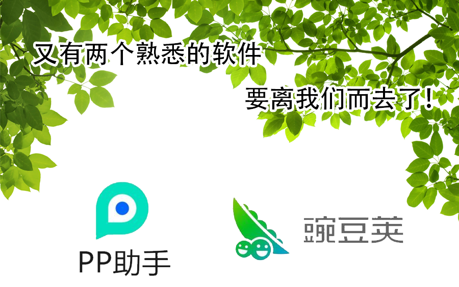 青春不再!豌豆荚与PP助手又要离我们而去了~~哔哩哔哩bilibili