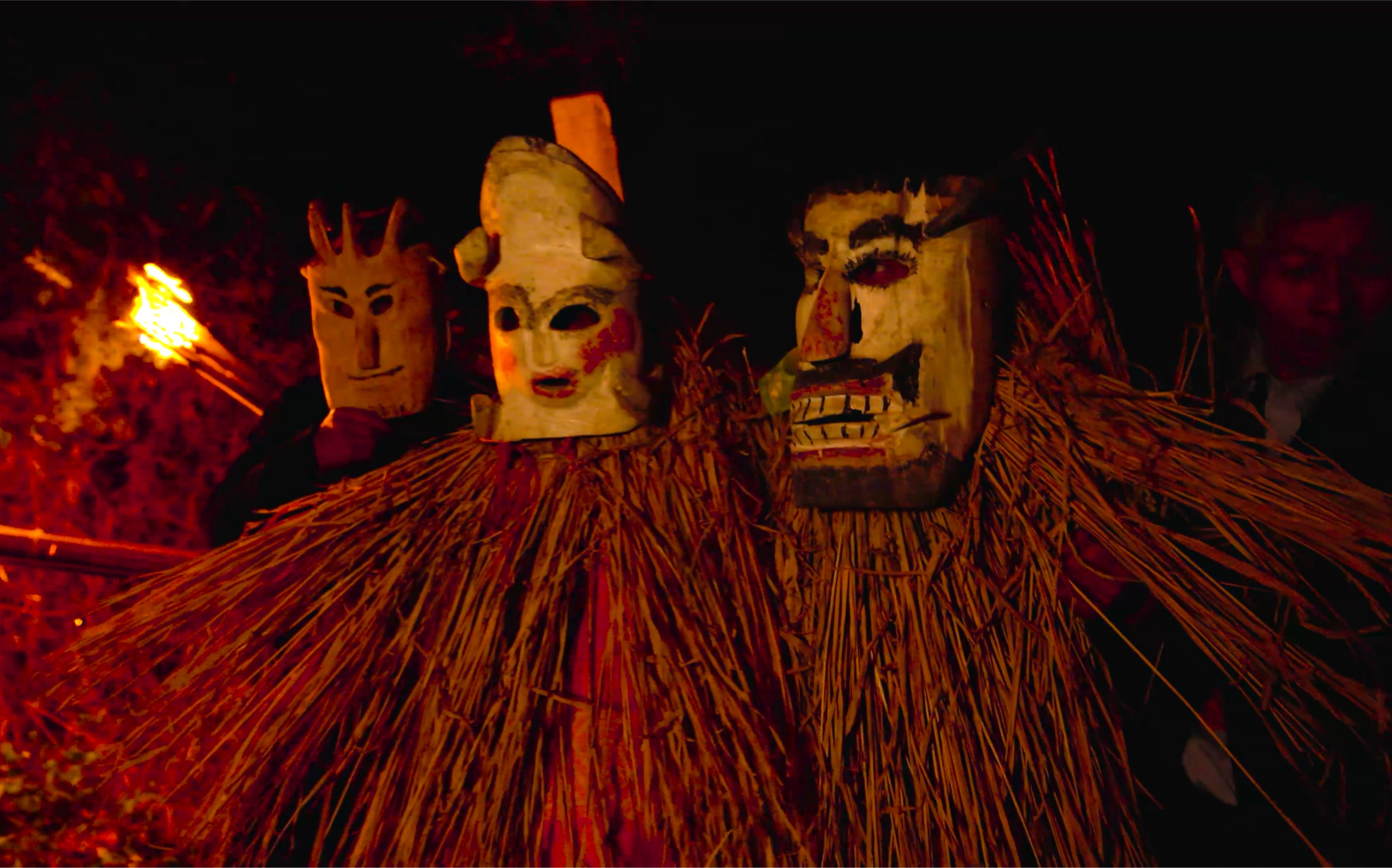 蚂拐草的功效(蚂拐草的功效:祛风散寒,止痛消肿,适用于哪些病症?