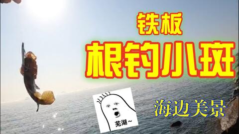 桂山岛岸抛铁板收获gt马友牙点 爽到飞起 哔哩哔哩 つロ干杯 Bilibili